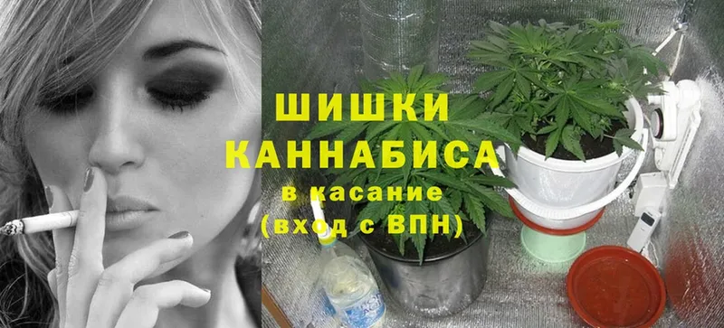 Канабис Amnesia  shop наркотические препараты  Каменногорск 